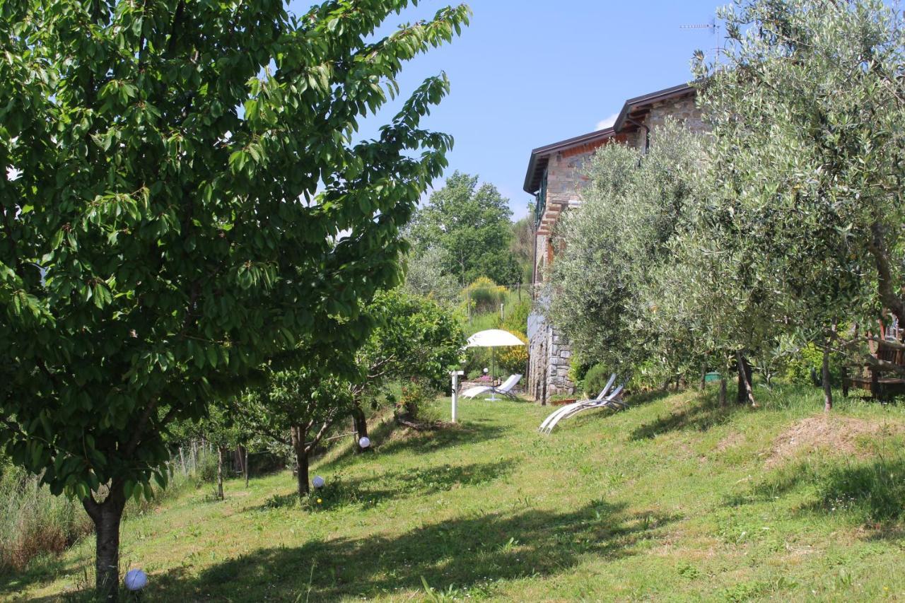 Agriturismo Angio Nel Cere Bracelli Exterior foto